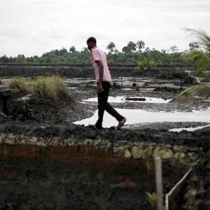 Oil pollution in Ogoniland. Credit: Luka Tomac/Friends of the Earth International